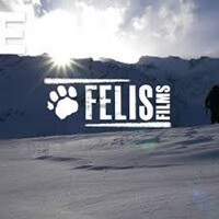 Felis Creations India Contact Details, Main Office, Email, Social IDs